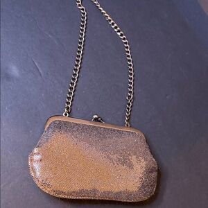 Express Shimmering Gold Clutch with Chain